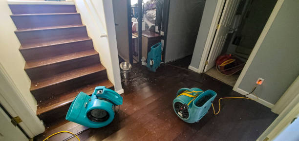 Best Professional water damage repair  in Gautier, MS