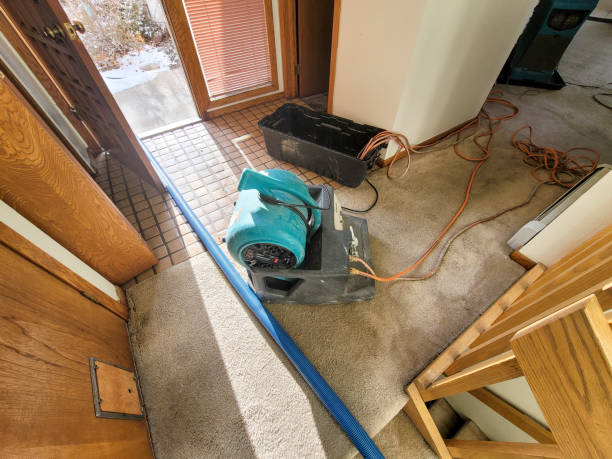Best Ceiling water damage repair  in Gautier, MS
