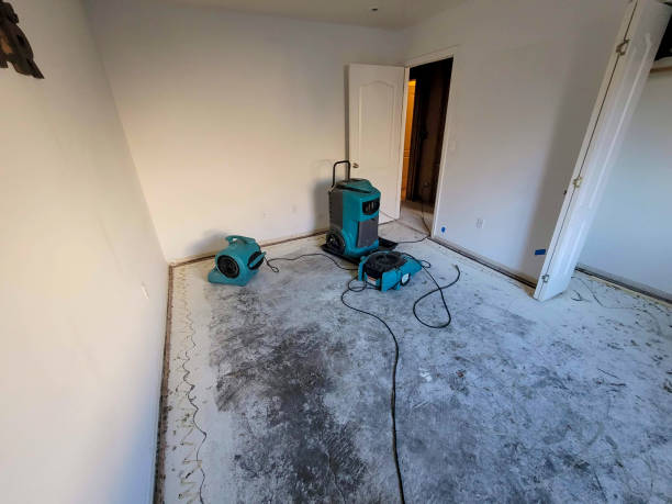 Best Water damage cleanup near me  in Gautier, MS
