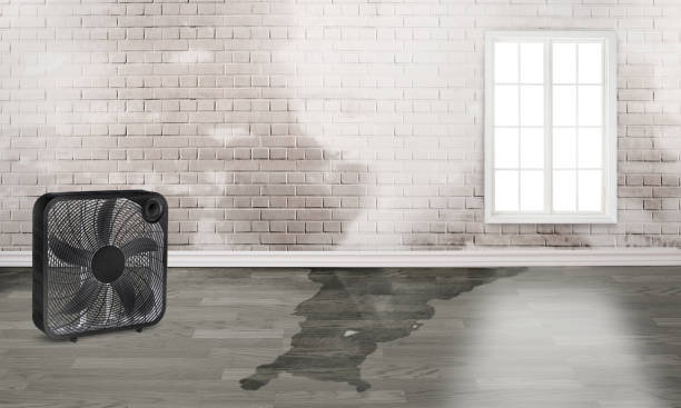 Best Residential water damage restoration  in Gautier, MS