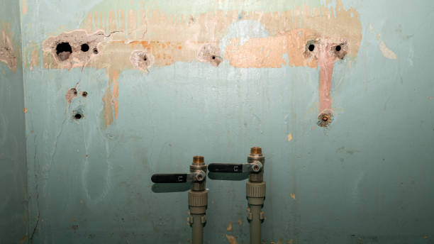 Best Water damage restoration near me  in Gautier, MS