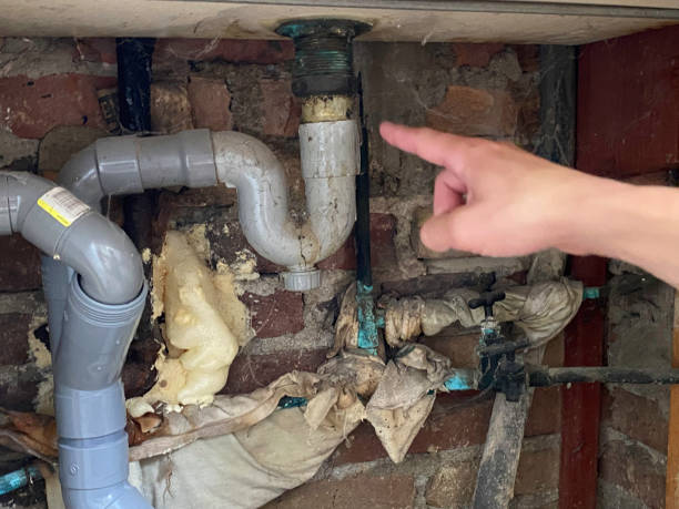 Best Water damage restoration services  in Gautier, MS