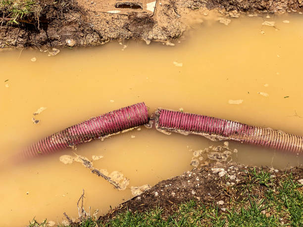 Best Carpet water damage restoration  in Gautier, MS